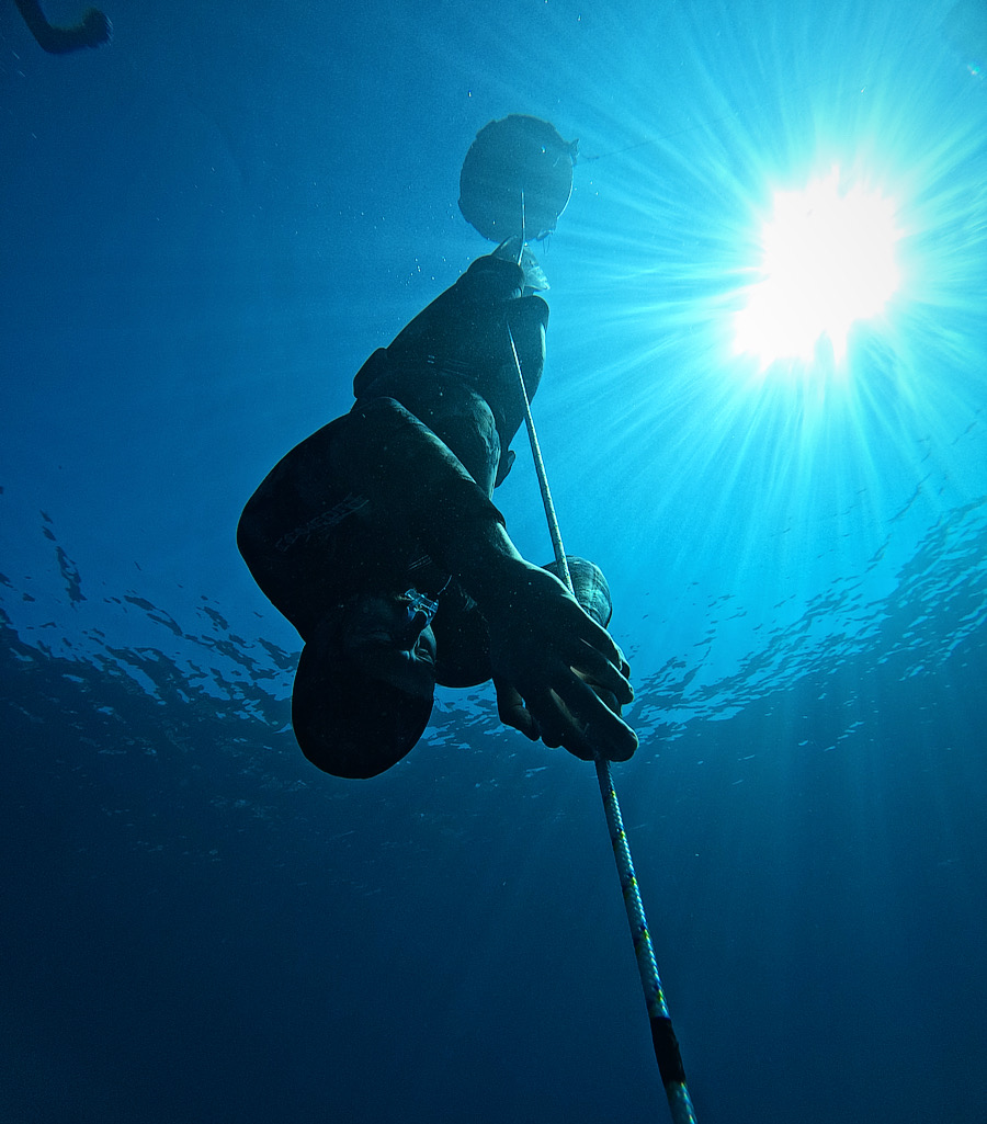 Bodrum'da Serbest Dalış Antrenmanı
