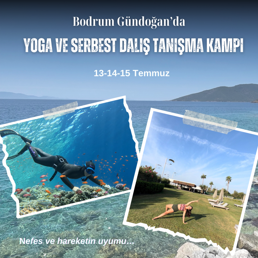yoga ve serbest dalış kampı