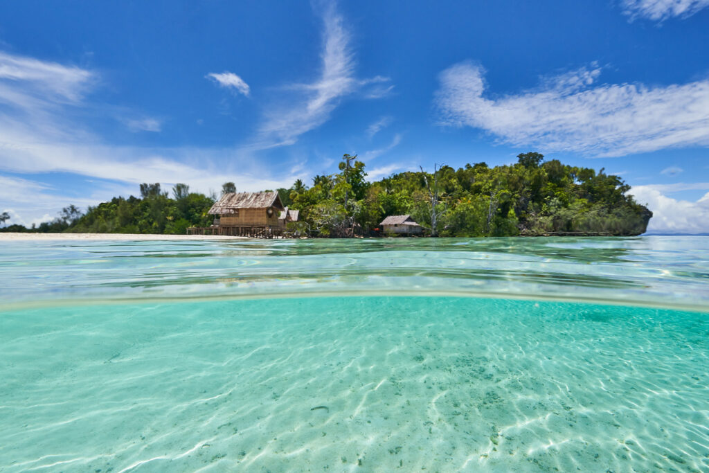 Freediving Trips Raja Ampat