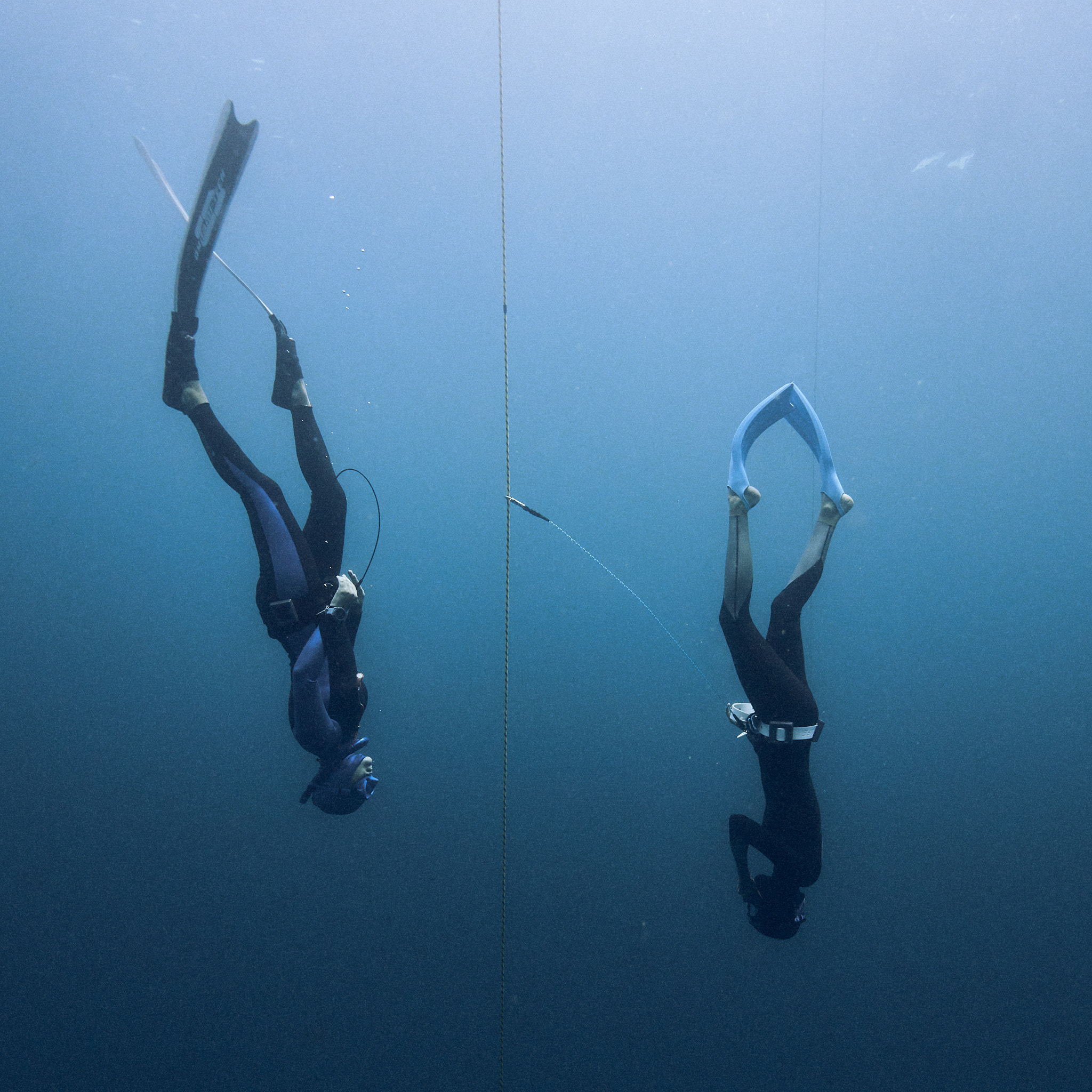 Serbest Dalış eğitimleri