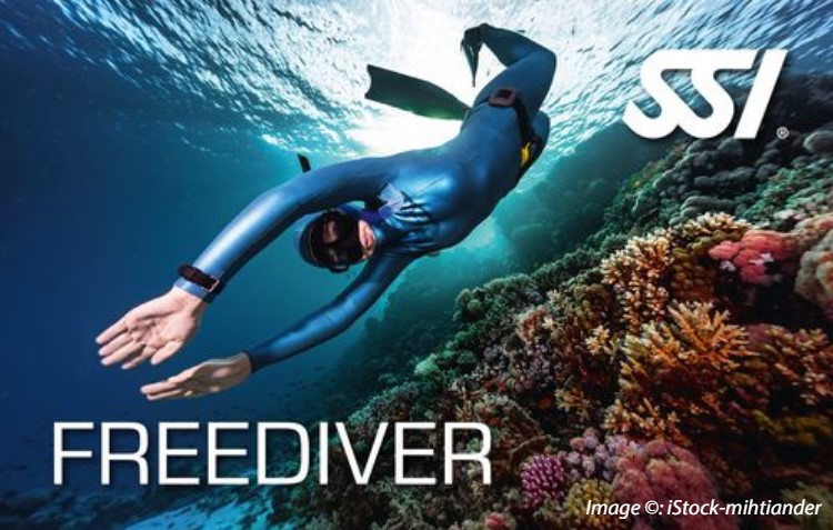 SSI Freediver Programı